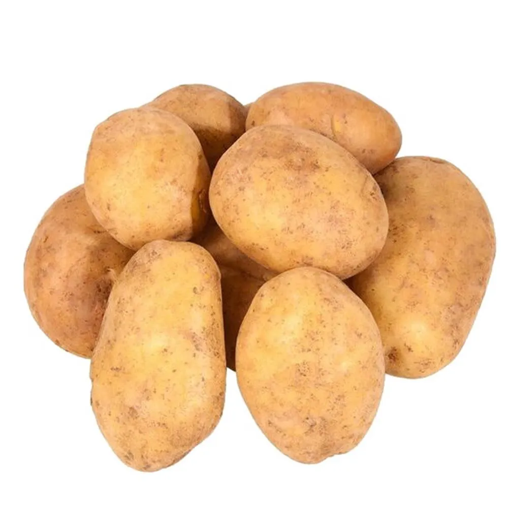 Hortilar