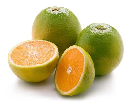 LARANJA PERA KG